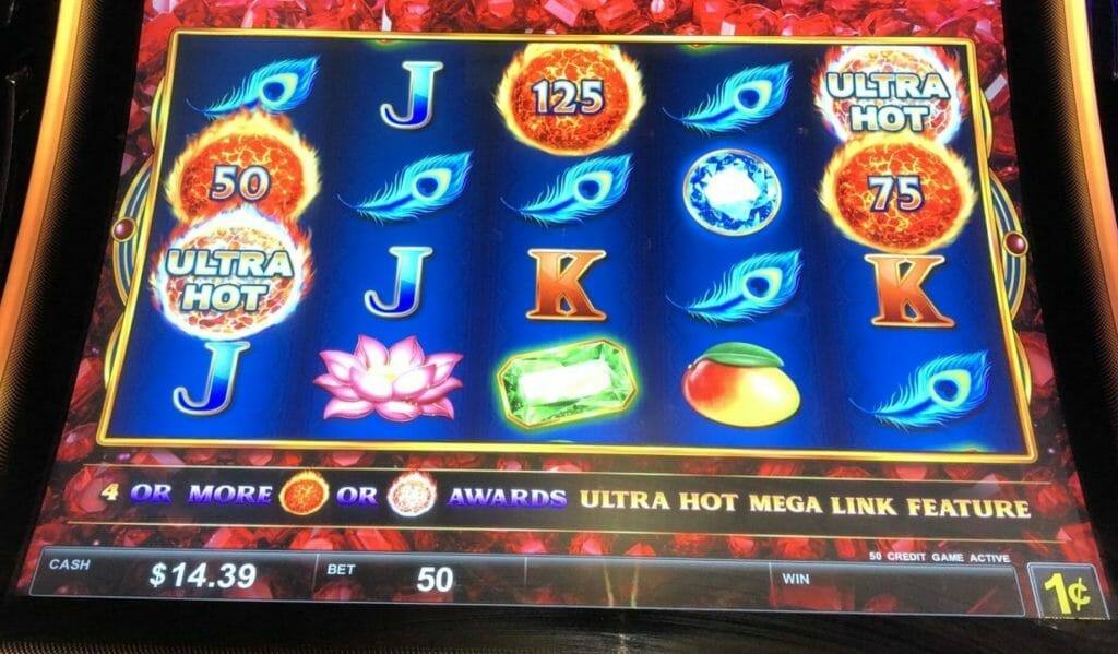 play safari king slots